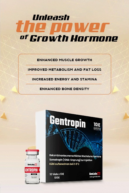 WhatsApp Image 2023 08 19 At 2.15.40 PM